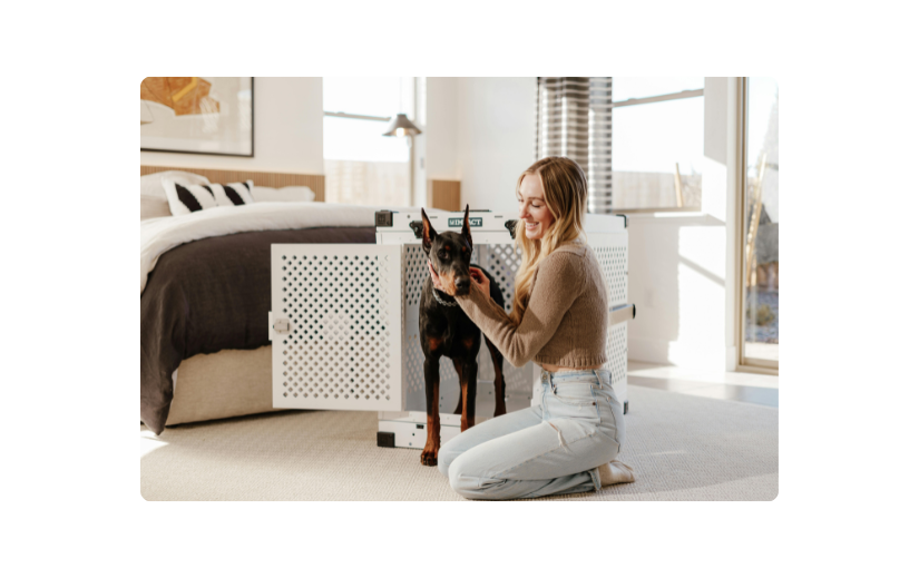 Woman training a Doberman with a clicker in a home setting, ideal for pet products eCommerce niche.